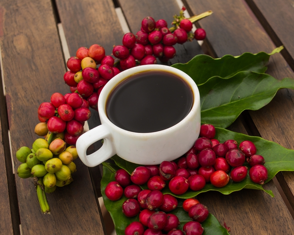 The Science of Sweetness: Exploring the Natural Sugars in Coffee